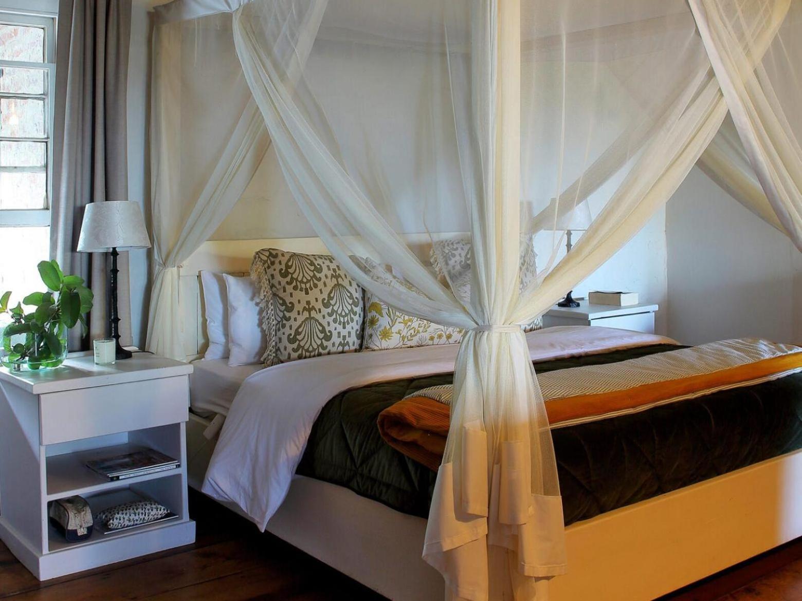 Belle Balance Bush Lodge Plettenberg Bay Habitación foto